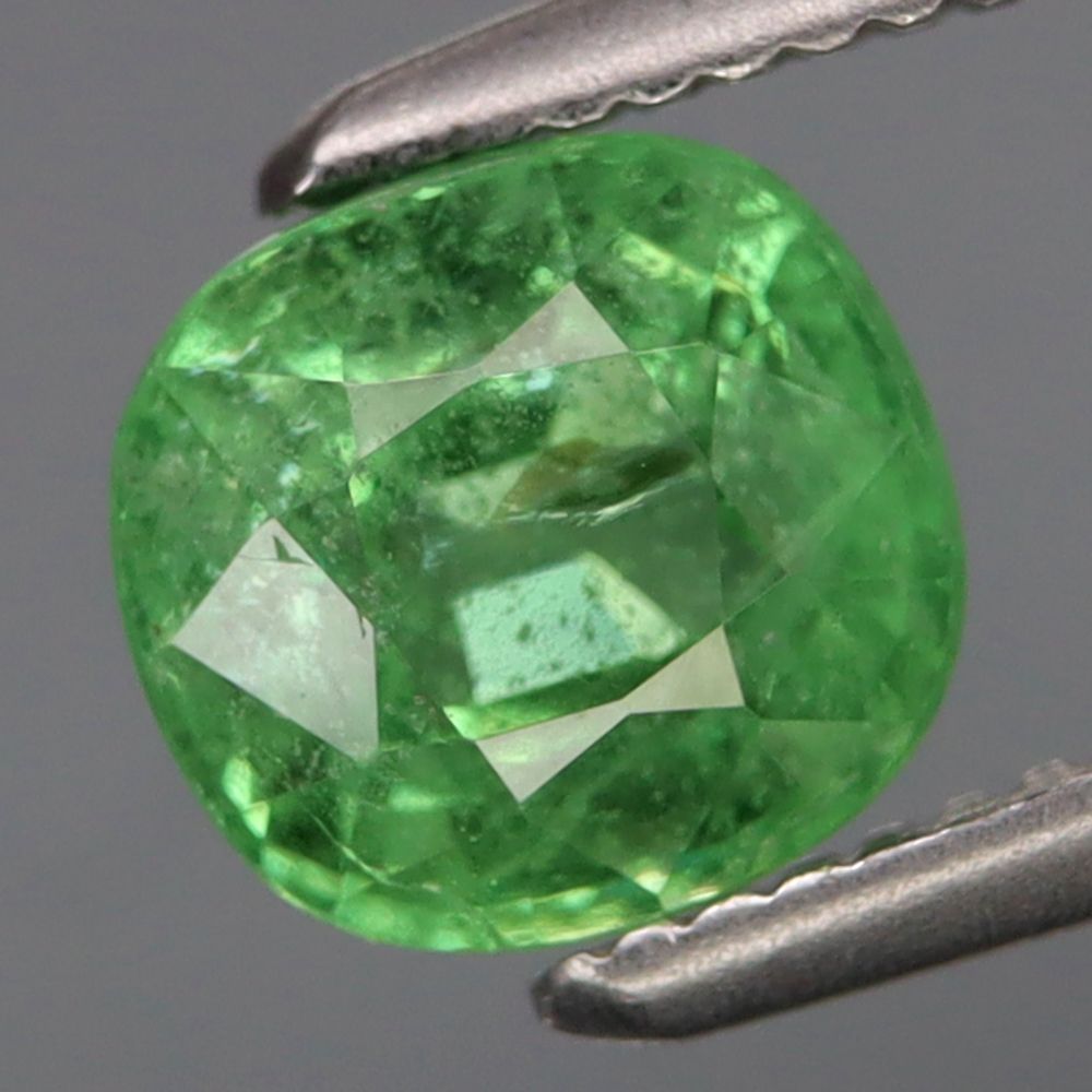 1.13CT GARNET UNHEATED