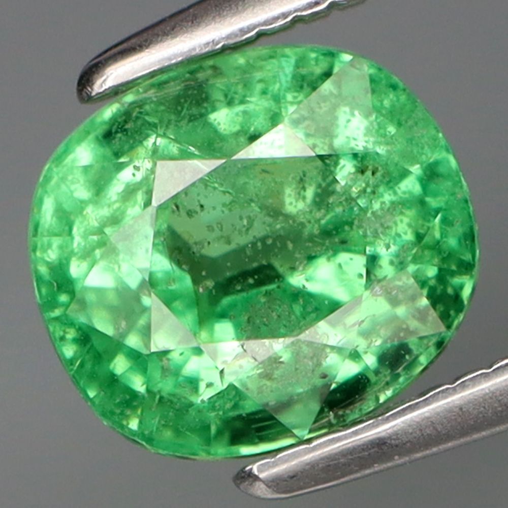 1.71CT GARNET UNHEATED